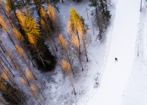 Läs mer om artikeln GIDÅS & Smart Energy Cup
